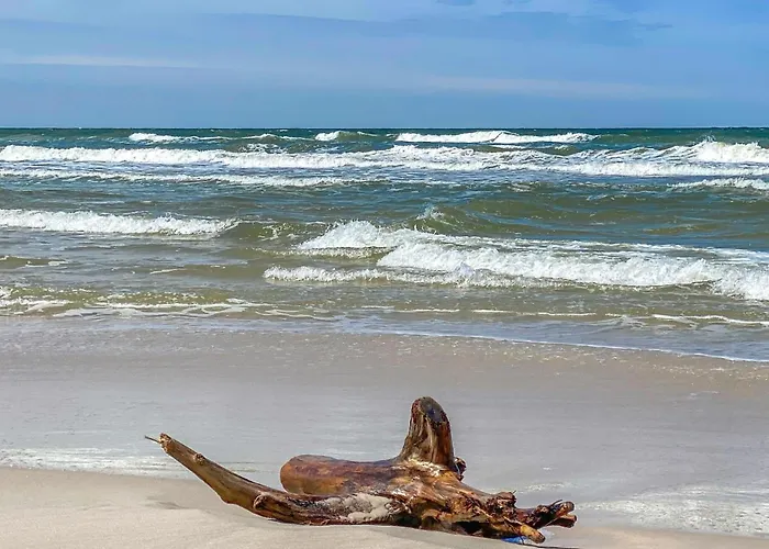 Дом отдыха In With Wifi