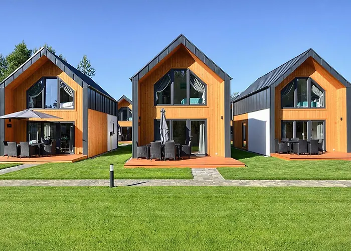 In With Wifi * Бялогура